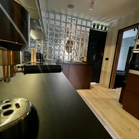 Pod Lwem Apartment
