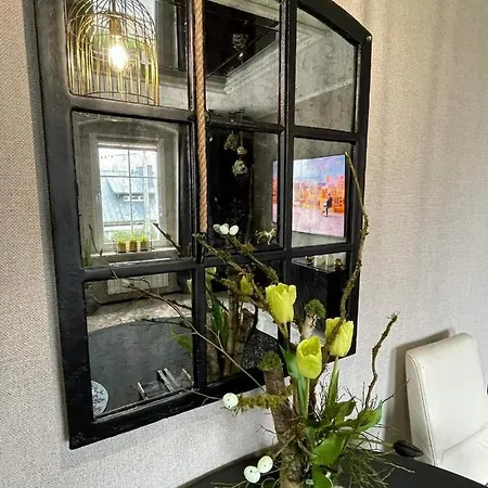 Pod Lwem Apartment *