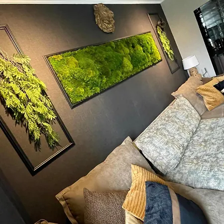 Apartament Pod Lwem *